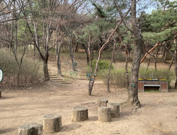 한남 유아숲체험원 이미지