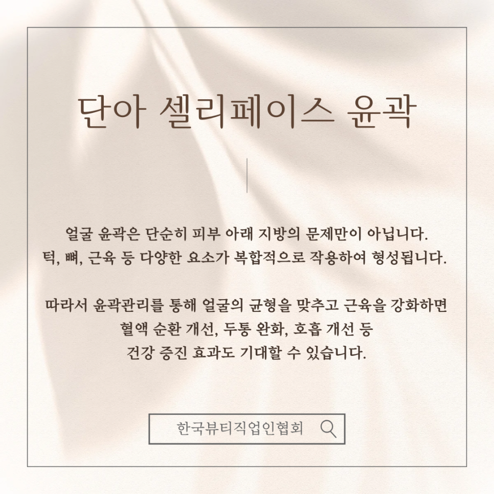 마스터교육 이미지