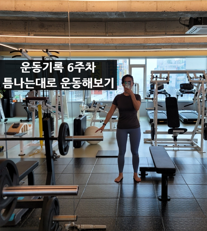 짐네스티 이미지