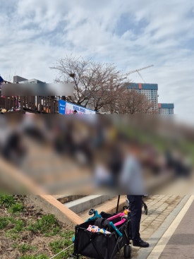 데이지마켓 철산점 사진 8