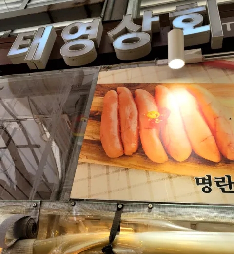 태영상회 이미지