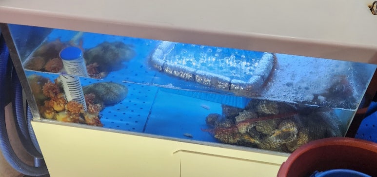 부영마차 이미지
