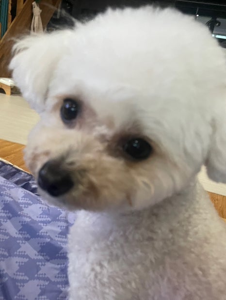 이서방횟집 이미지
