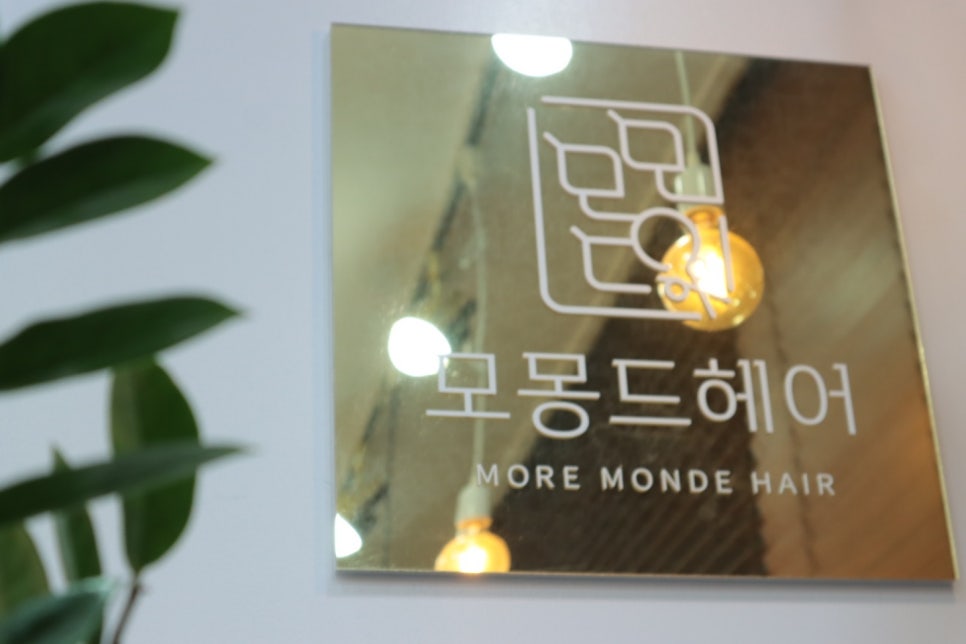 모몽드 이미지