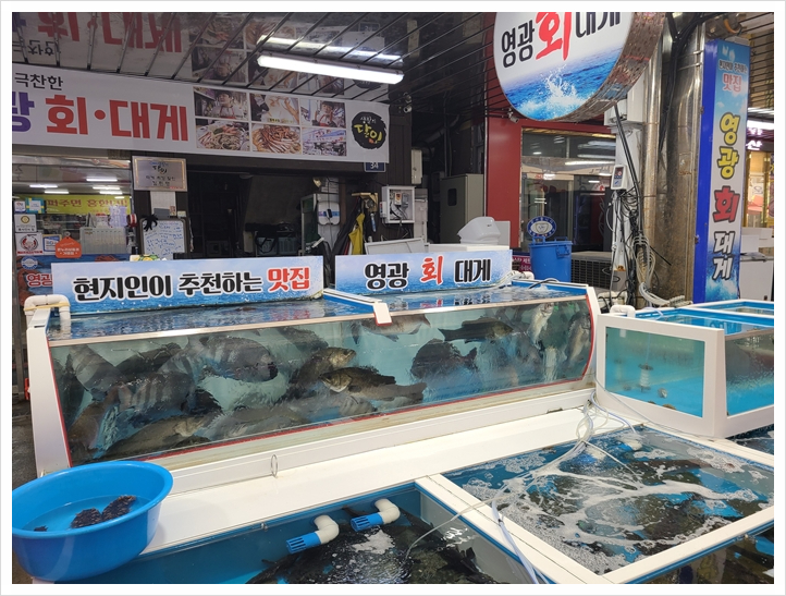 영광회센타 이미지