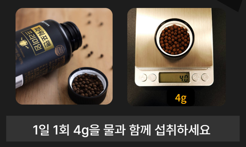 지마스 이미지