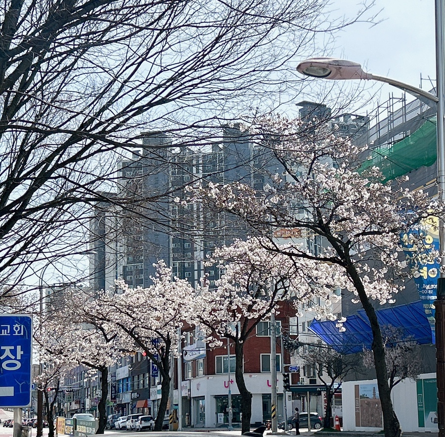 버블맨24익산 이미지