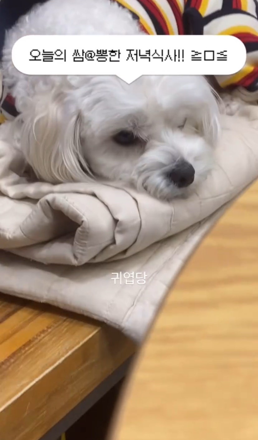 스카이포 이미지