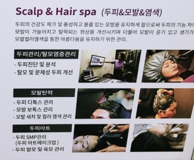 크린브레인 이미지