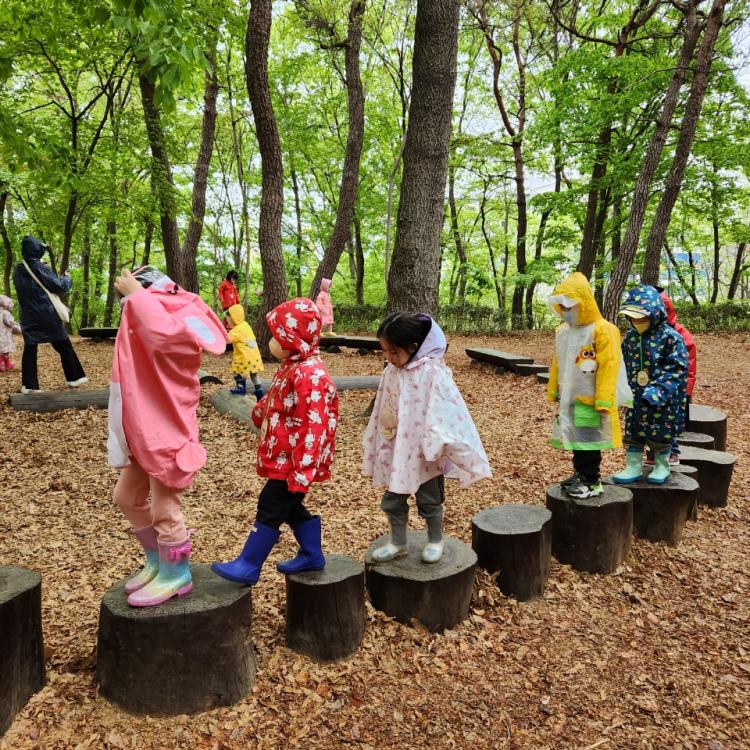 무양공원 유아숲체험원 이미지