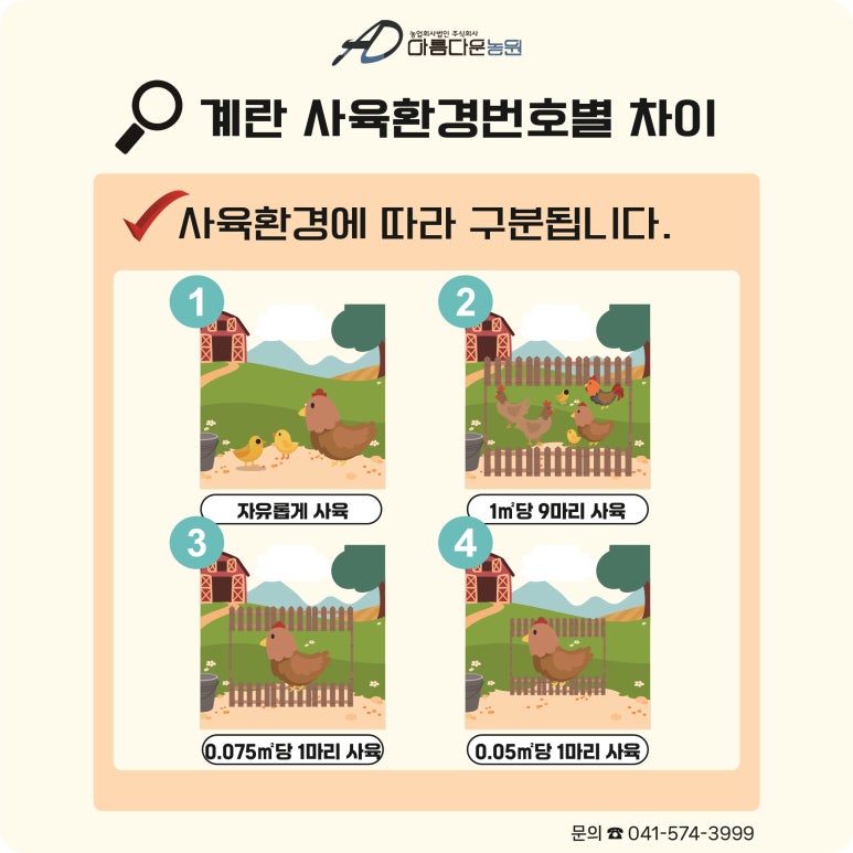 계란직판장 이미지
