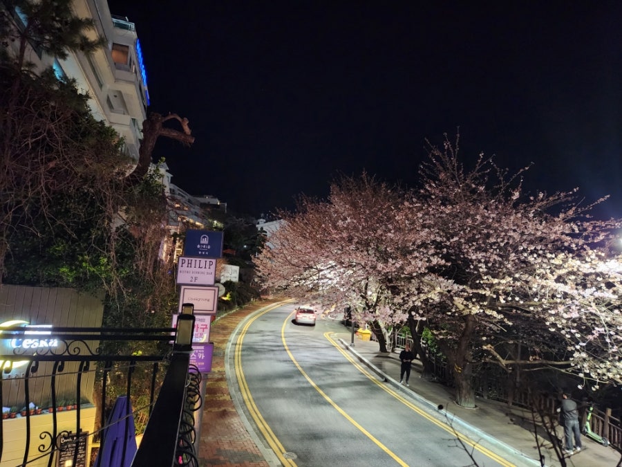달빛거리 이미지