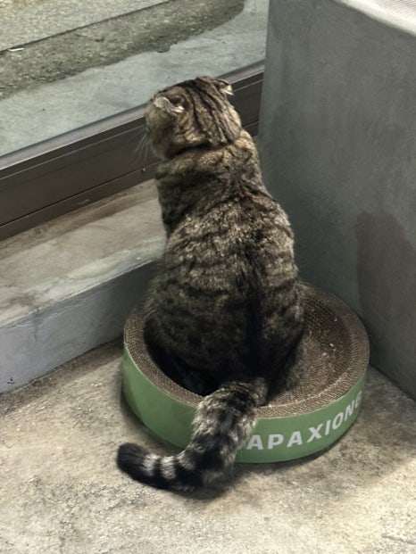 세진베이커리카페 이미지