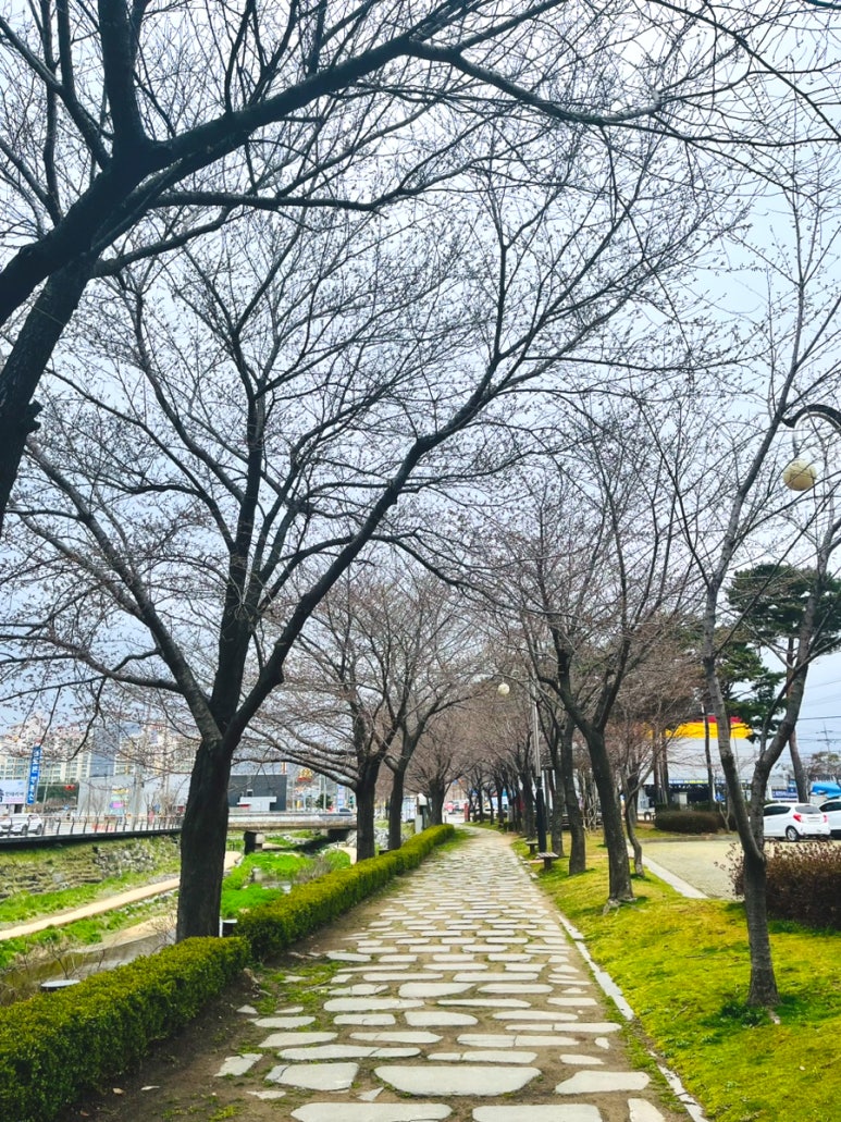 황가네 중식당 이미지