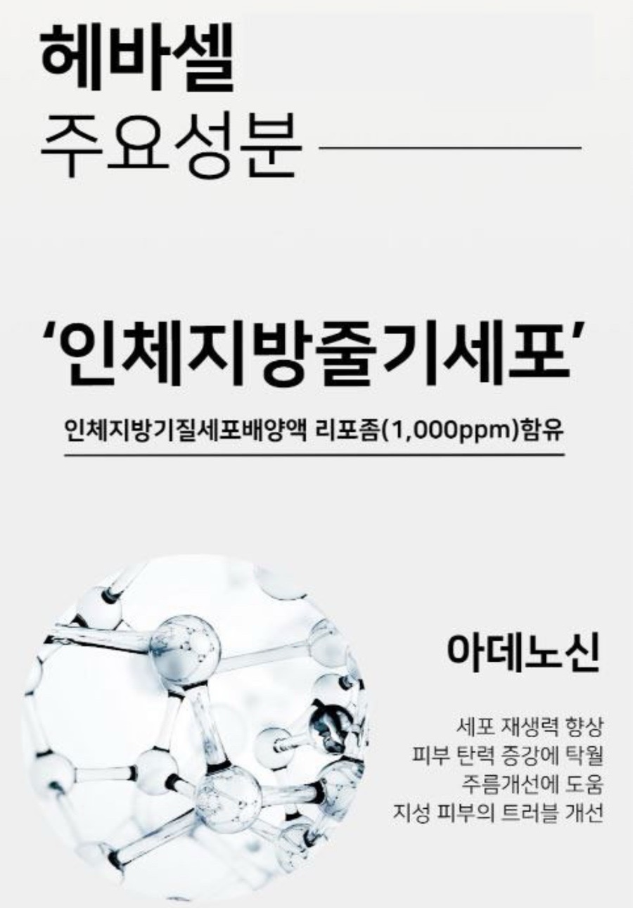 나들이화장품 이미지