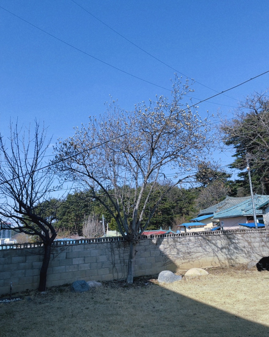 카페명경 이미지