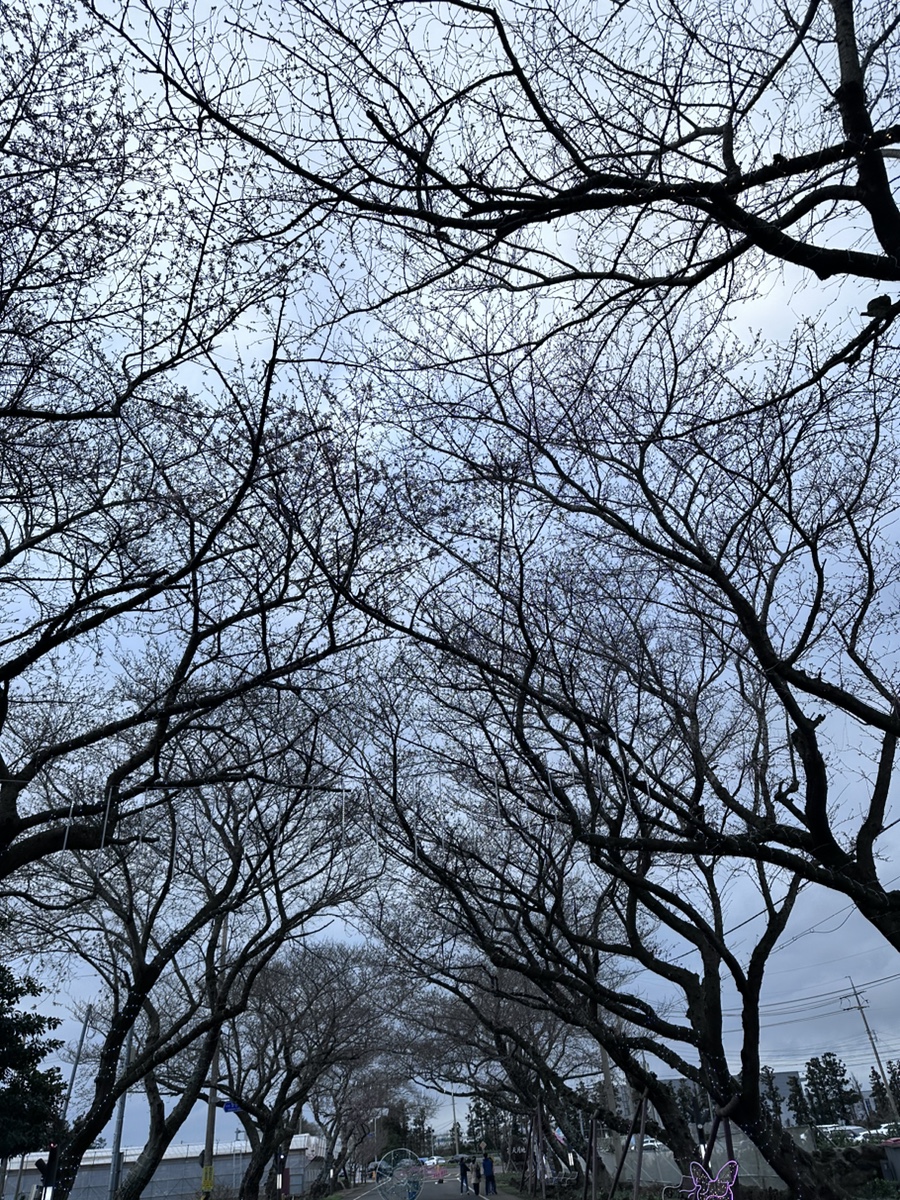 벌크커피한림점 이미지