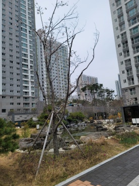 (주)대성종합관리 이미지