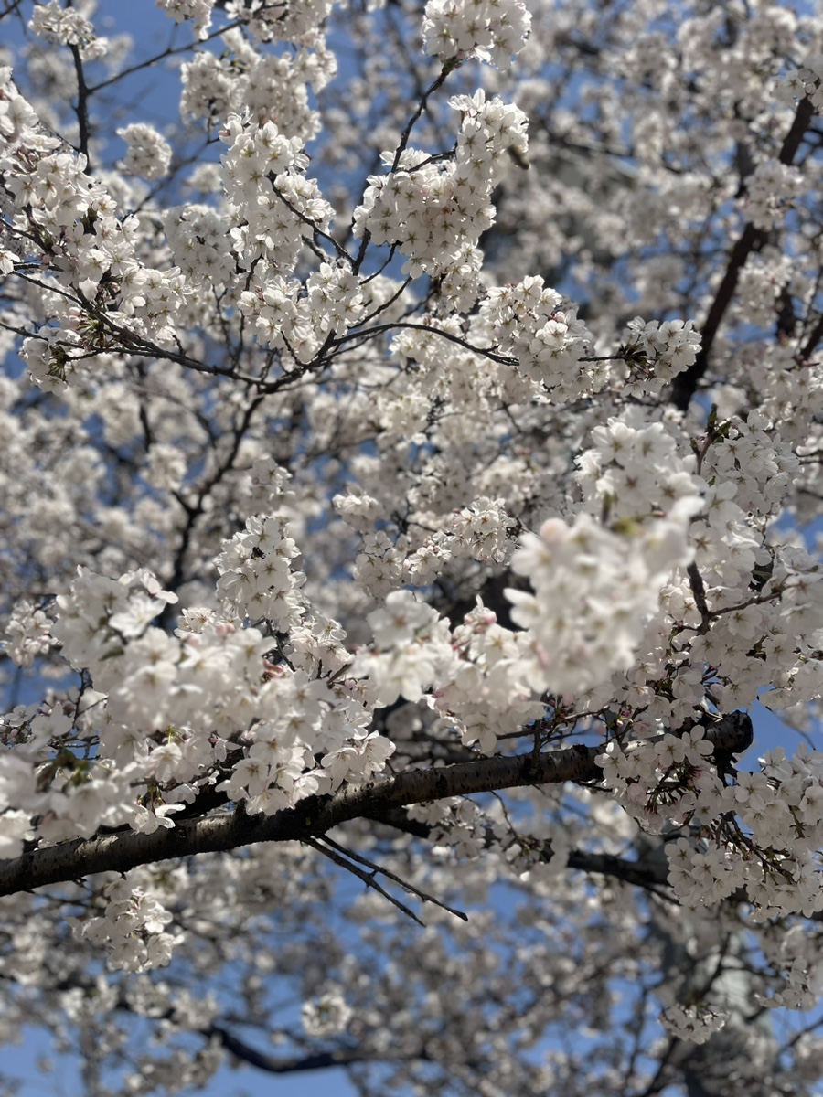 바로본신경외과 이미지