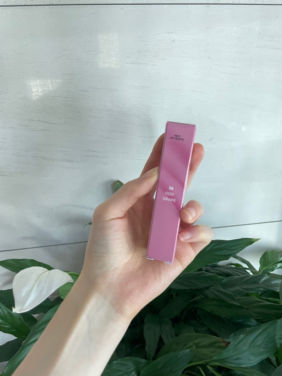 그레이프Grape 이미지