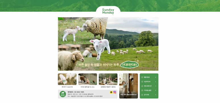 웨일디자인 이미지