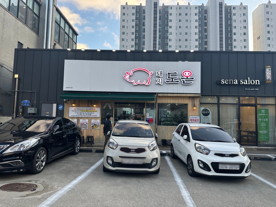 돼지도온 이미지