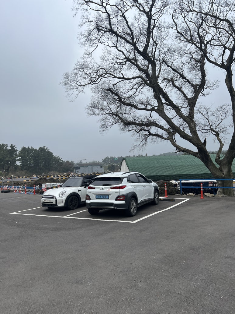 위랜드 카트장 이미지