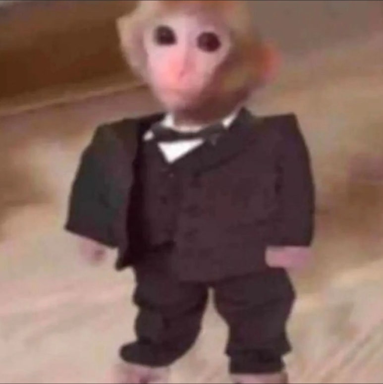 라뎅 이미지