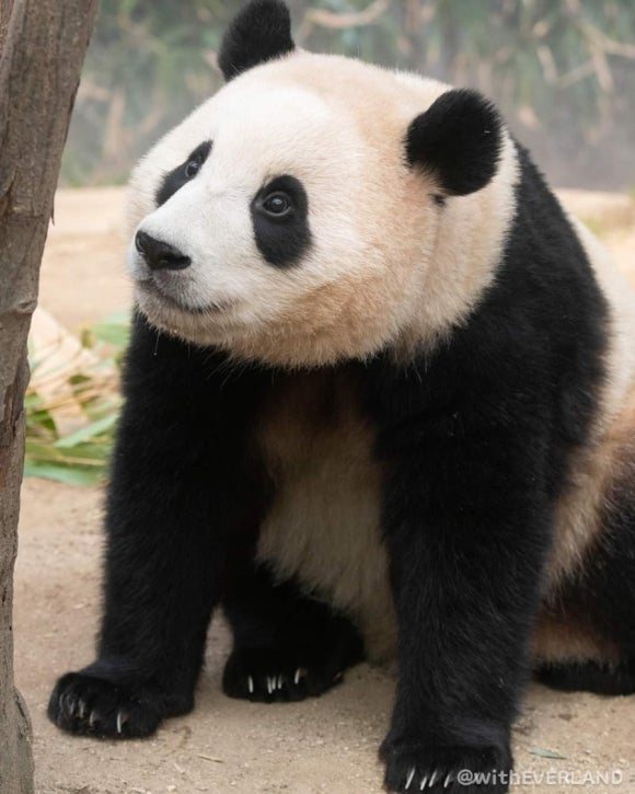 행복사진관 이미지