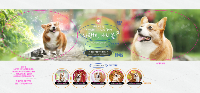 웨일디자인 이미지