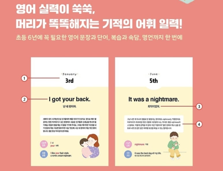 영유쌤 이미지