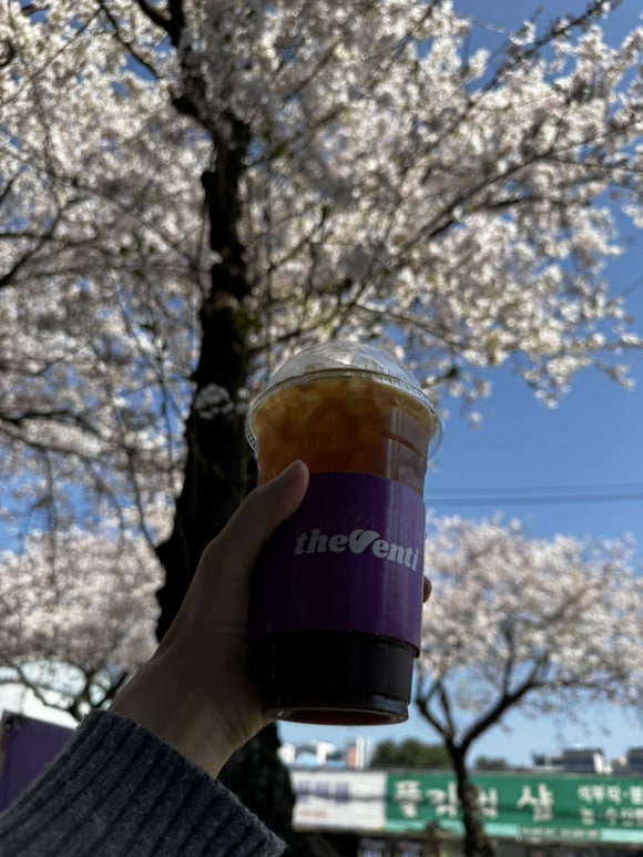 서귀포더벤티 이미지
