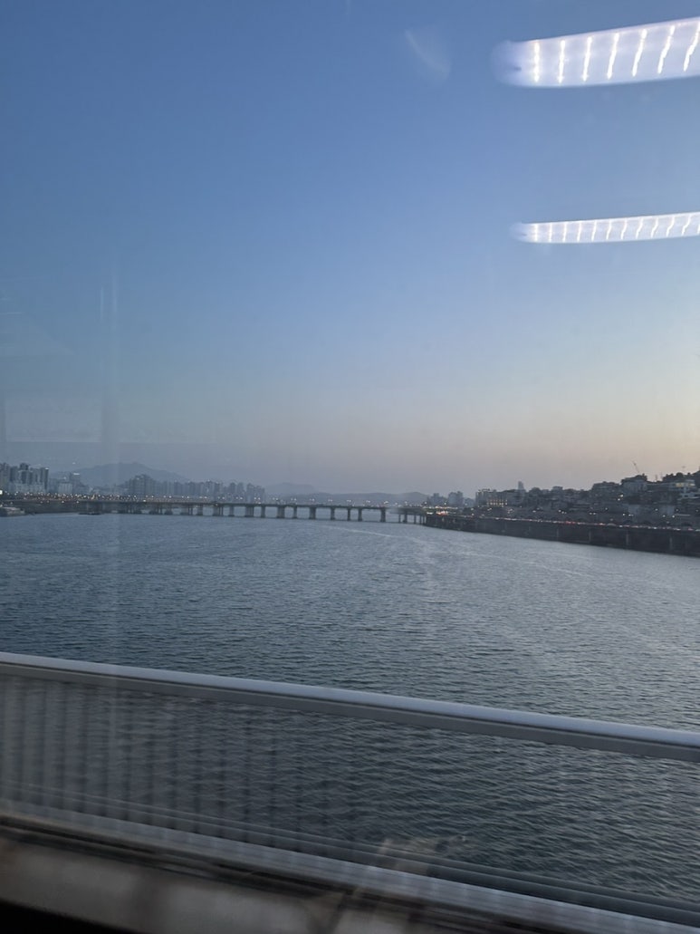 먹보식당 이미지
