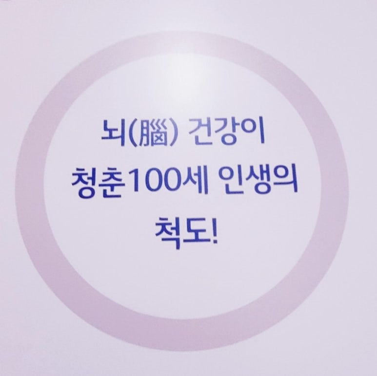크린브레인 이미지