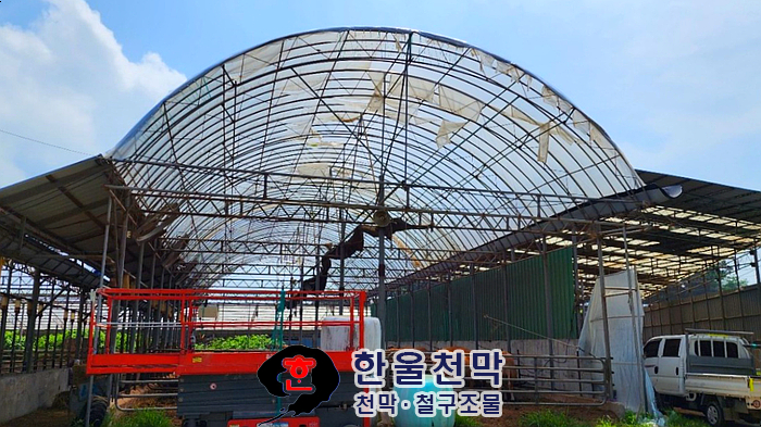 자유천막사 이미지