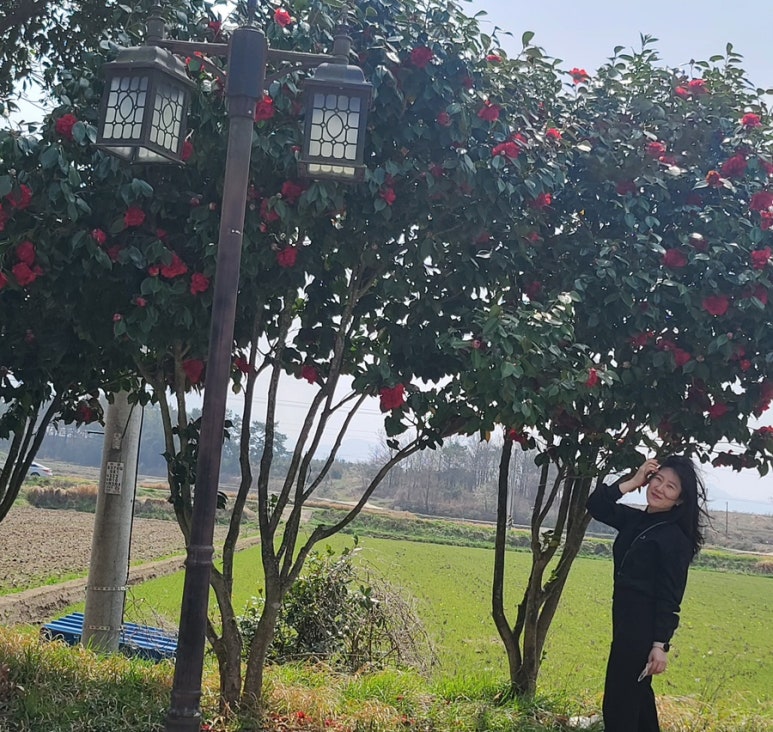 독천무안뻘낙지 이미지
