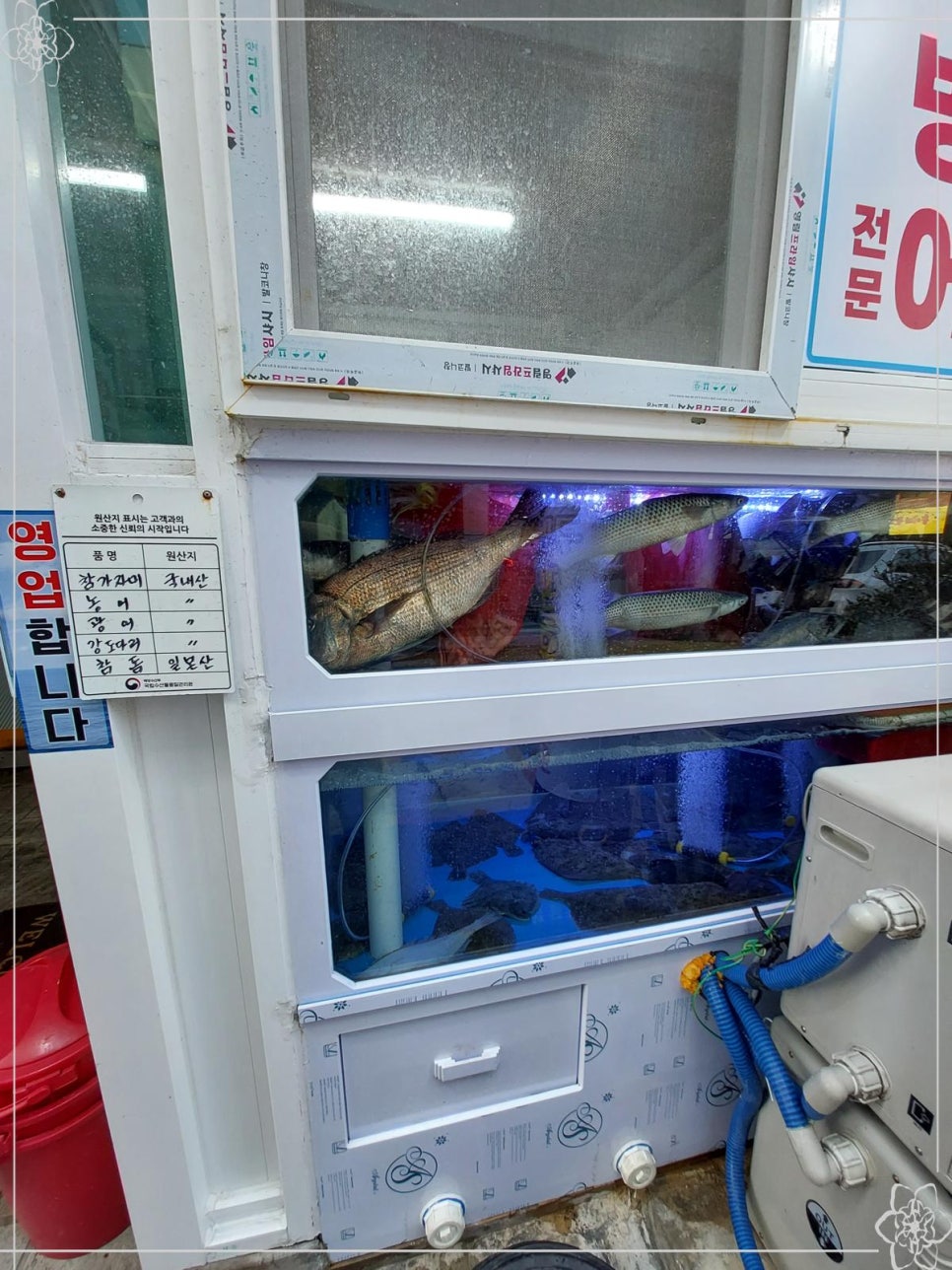 구명애포항물회 이미지