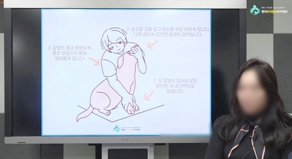 반려견 유치원 비용, 커리큘럼 및 입소 절차 완벽 가이드 — 사진 10