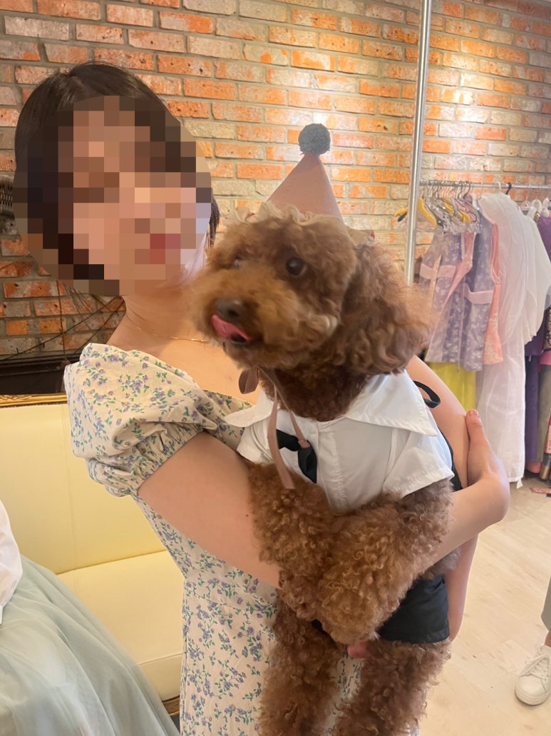 포시즌패밀리가족사진관 이미지