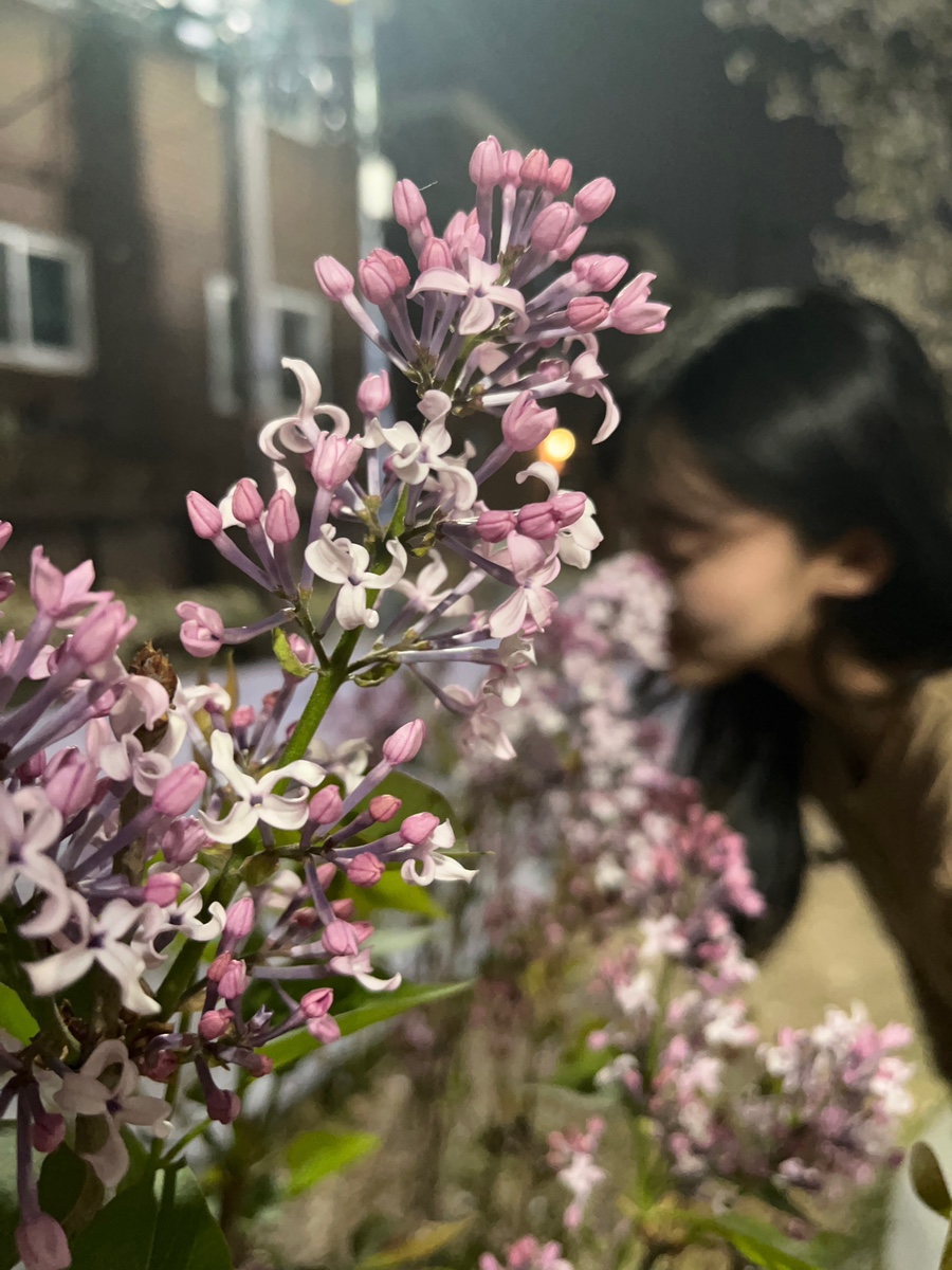 포커슨 이미지