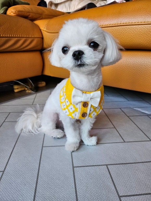 크로스핏간지 이미지
