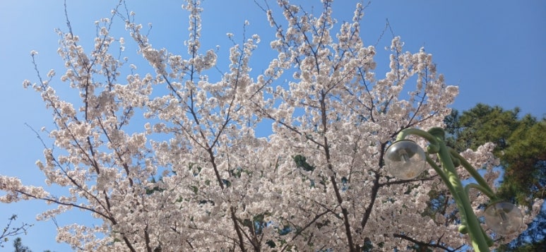 근린공원 이미지