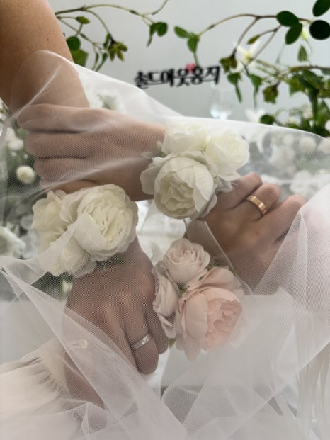 베르크스튜디오 이미지