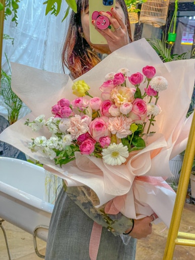 프롬니나 이미지