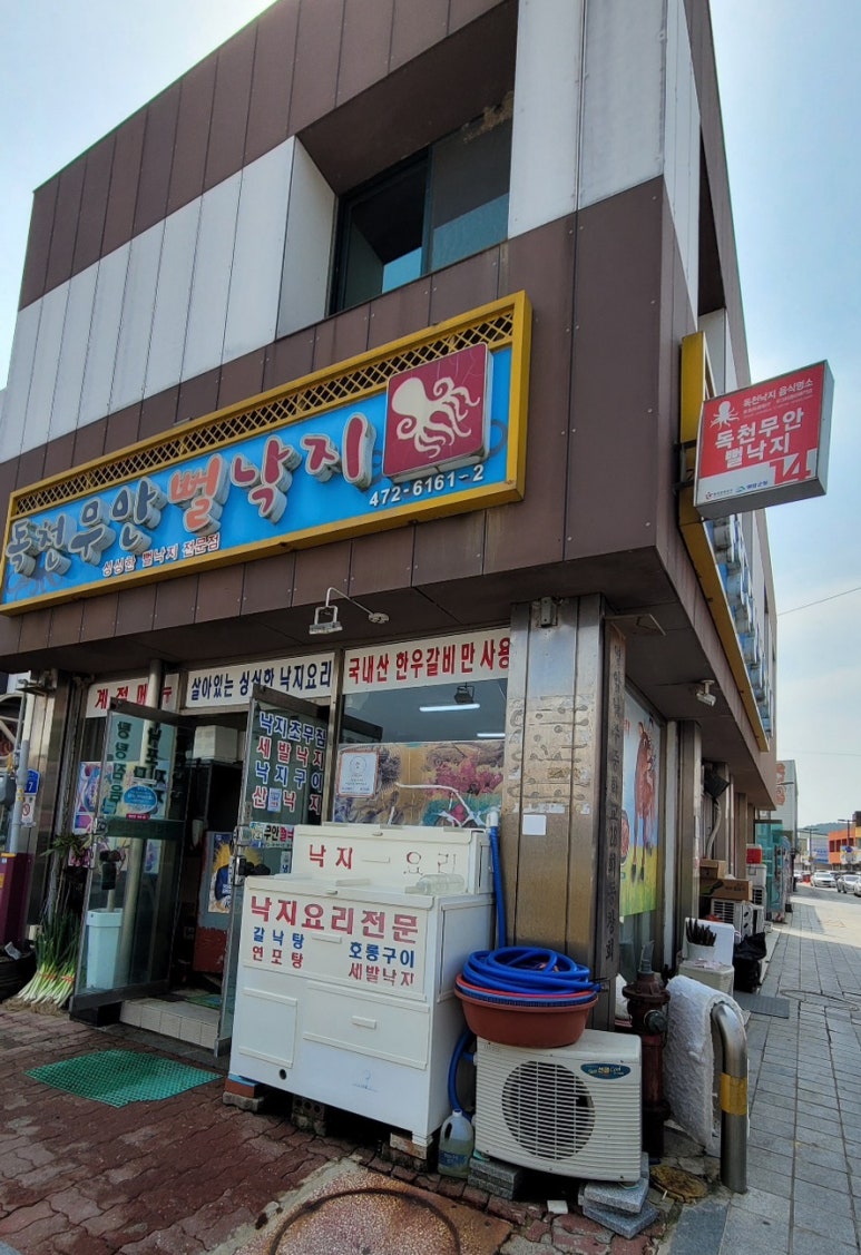 독천무안뻘낙지 이미지