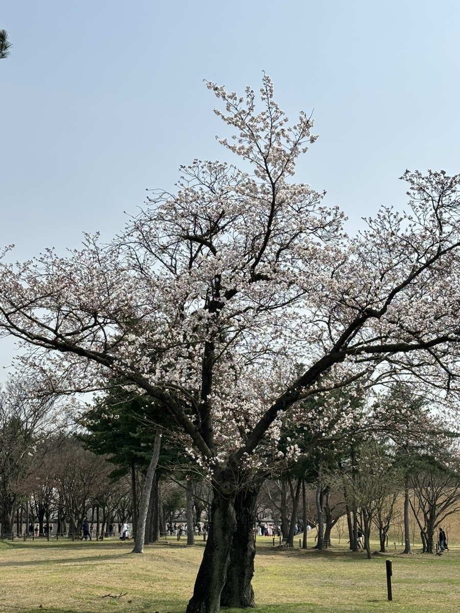 동궁숯불갈비 이미지