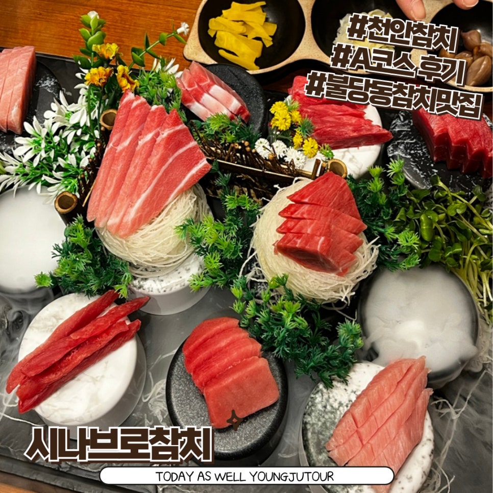 시나브로참치 이미지