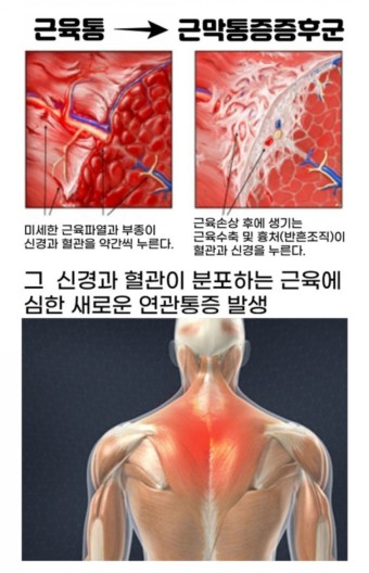 더조은안마원 이미지