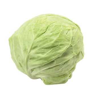 끝 장 이미지