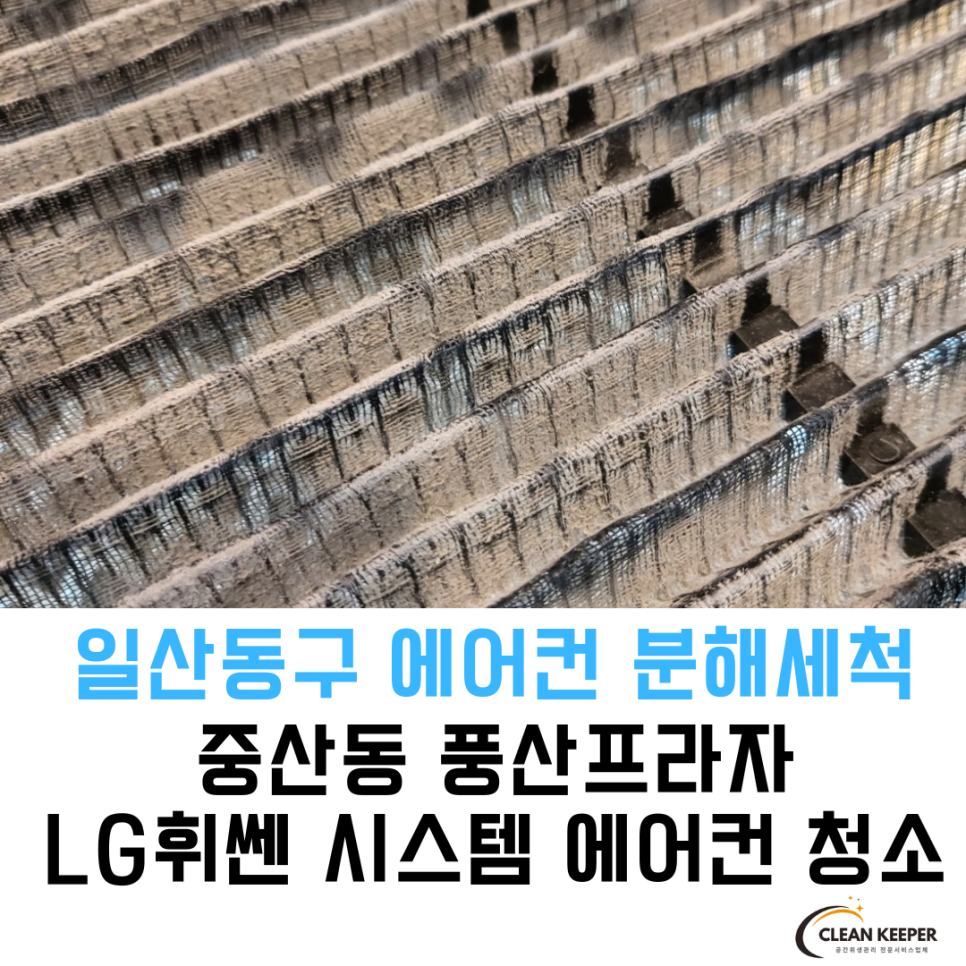 크린프라자 이미지